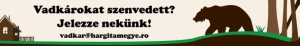 Hargita Megye Tanácsa várja a vadkárokról szóló lakossági bejelentéseket