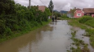 Ajnádon a felnőtt növényzet miatt öntött ki a víz