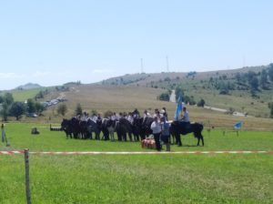 Térségünkben hagyománya van a lovas életnek