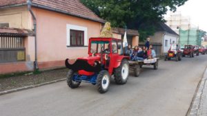 Össze kell fogni a pityókáért
