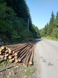 Borboly Csaba közös fellépést sürget