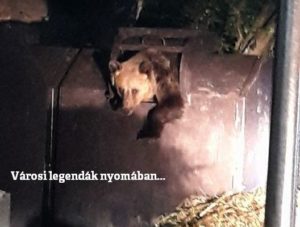 Városi legendák béklyójában