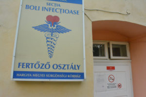 Huszonéves fiatalemberre támadt a medve