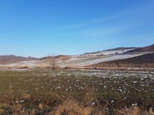 Székelyszenterzsébeten sebesített meg súlyosan egy fiatalembert a medve
