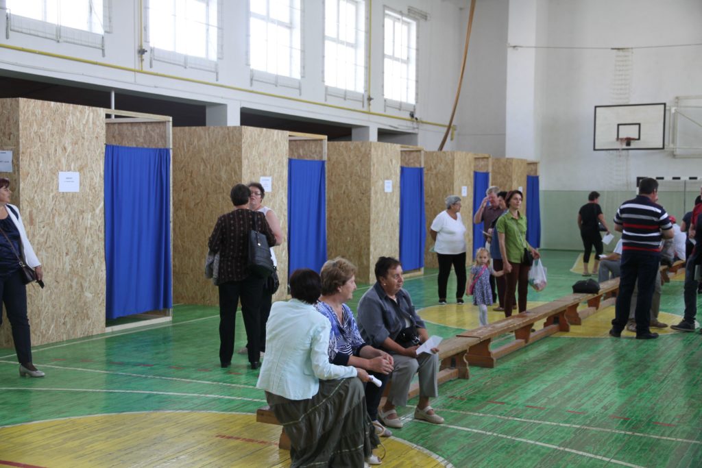 DomokosSzurovizsgalat_2018jun11 (7)