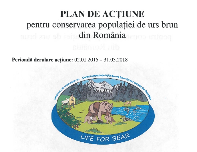 plam de actiune