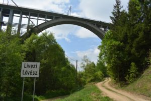 Három medvét gázolt el a vonat