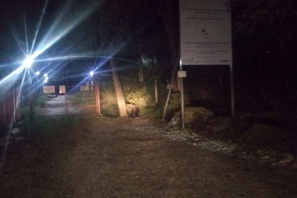 Fotó: Hargita Megyei Csendőr-felügyelőség