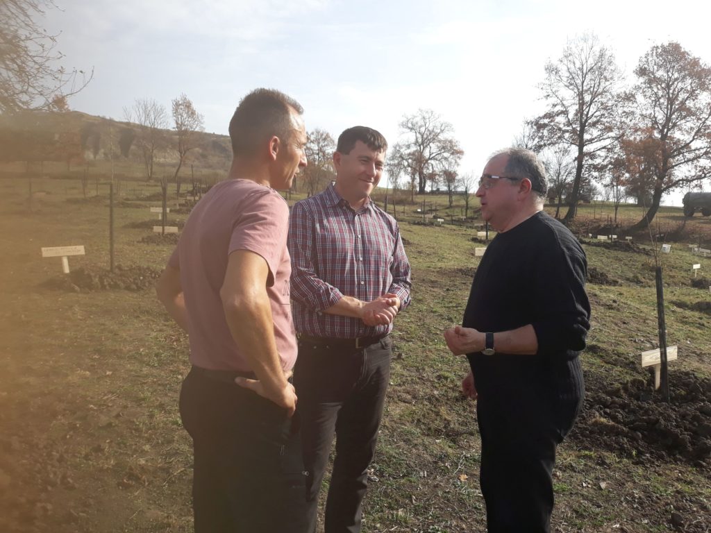 SzentabrahamGyumolcsfaultetes_2018nov5 (8)