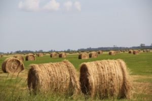 A gazdáknak a sürgősségi helyzetben is meg kell kapniuk a mezőgazdasági támogatásokat