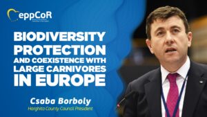 Borboly Csabát bízta meg a Régiók Európai Bizottsága egy újabb vélemény elkészítésével a nagyragadozók témakörében