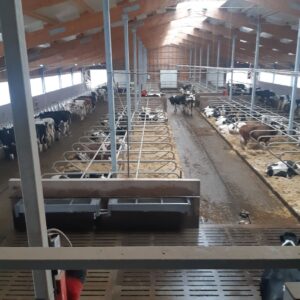 Az innovatív gazdaságokért és a fejlődésért dolgozom