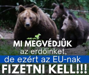 Megvédjük erdőinket, de az EU-nak fizetnie kell!