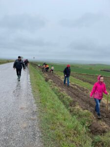 Tiszta levegő, zöld környezet, fenntartható fejlődés