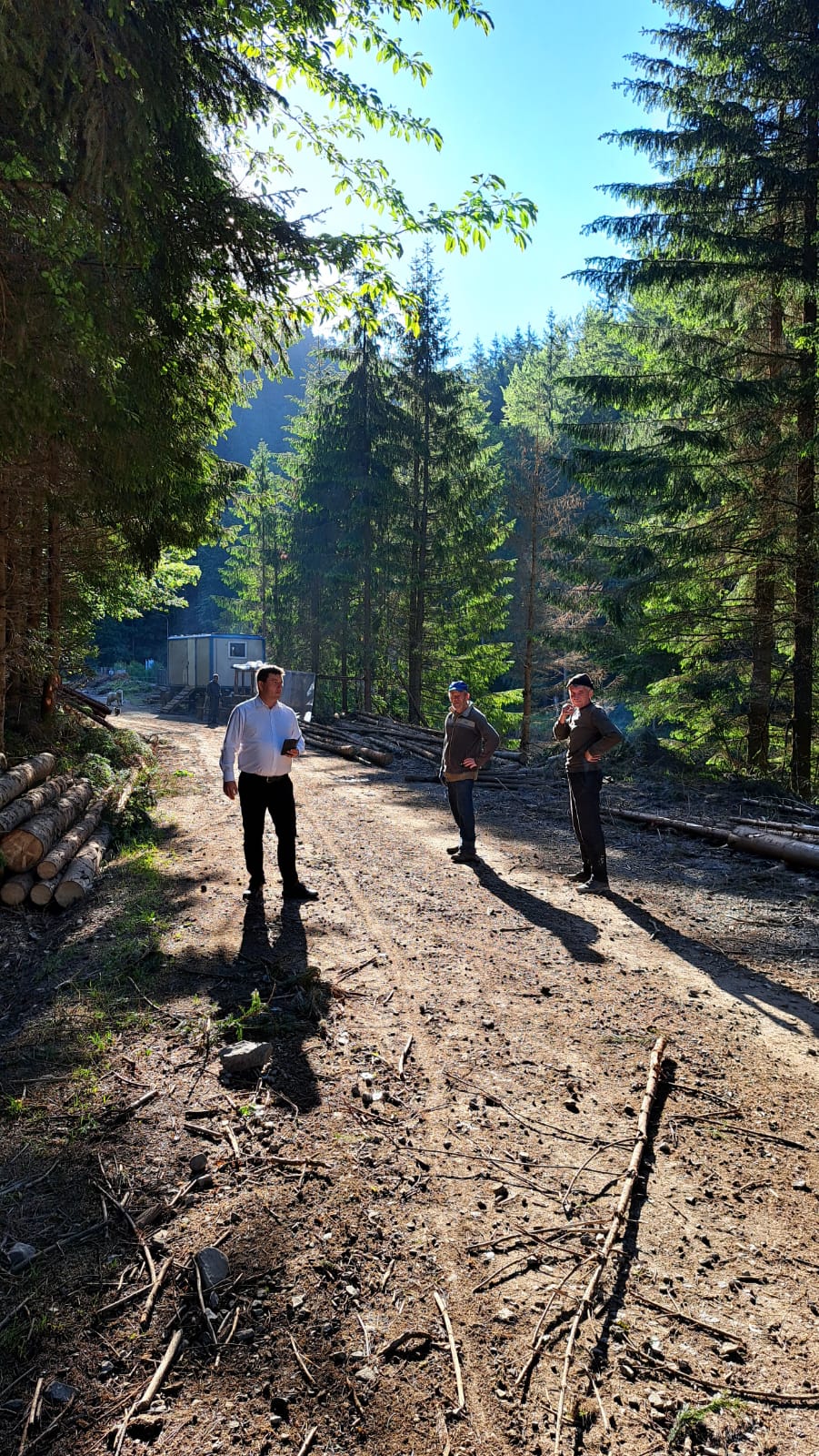 Úgy is lehet fát kitermelni, hogy nem rongálunk