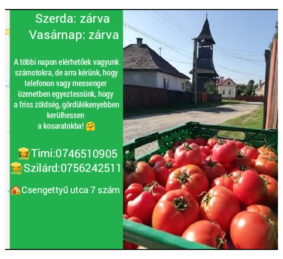 Vegyszermentes paradicsom és uborka a gyergyószentmiklósi Csizmadia Bio Tanyán