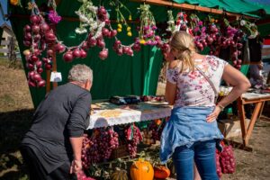 Idén is csípnek a hagymák!-14. alkalommal szervezik meg a Madéfalvi Hagymafesztivált