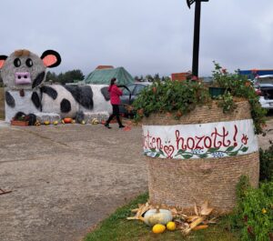 Csíkszéki gazdanapok – Csíkszentsimonban
