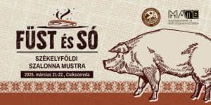 Füst és Só