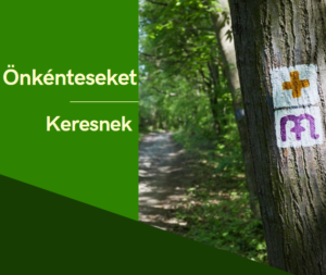 Jelentkezz önkéntesnek a Mária útra