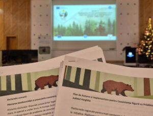 Tények kimondva Brassóban – felelősség és döntések a medveállomány ügyében