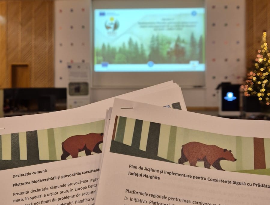 Tények kimondva Brassóban – felelősség és döntések a medveállomány ügyében